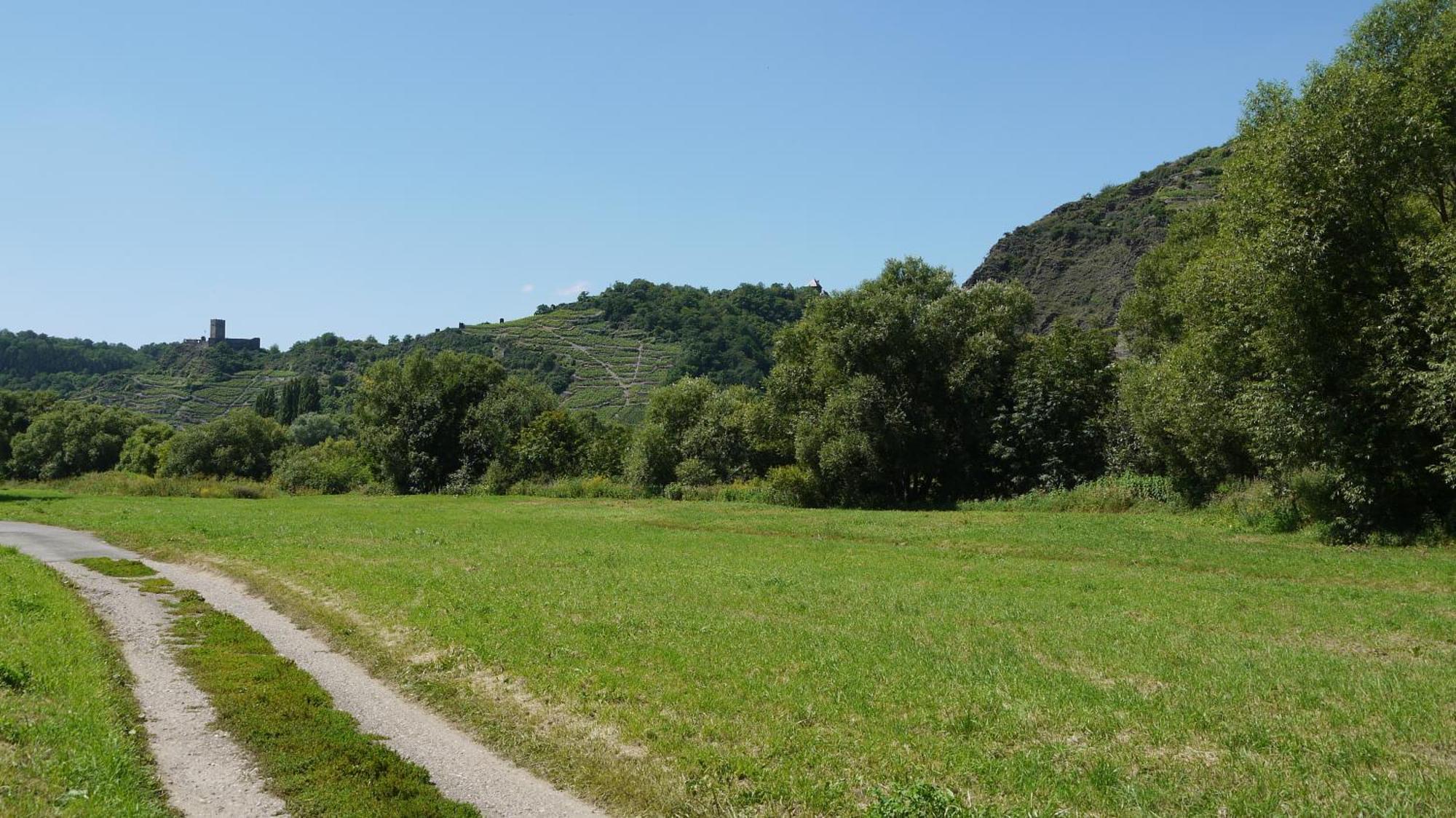 Hotel-Garni-Kachelburg Dieblich Luaran gambar