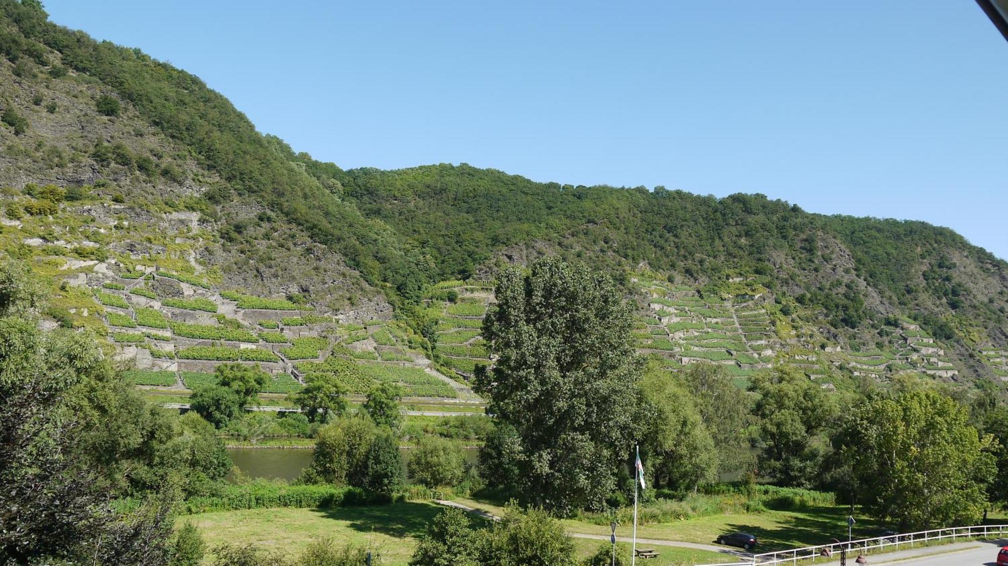 Hotel-Garni-Kachelburg Dieblich Luaran gambar