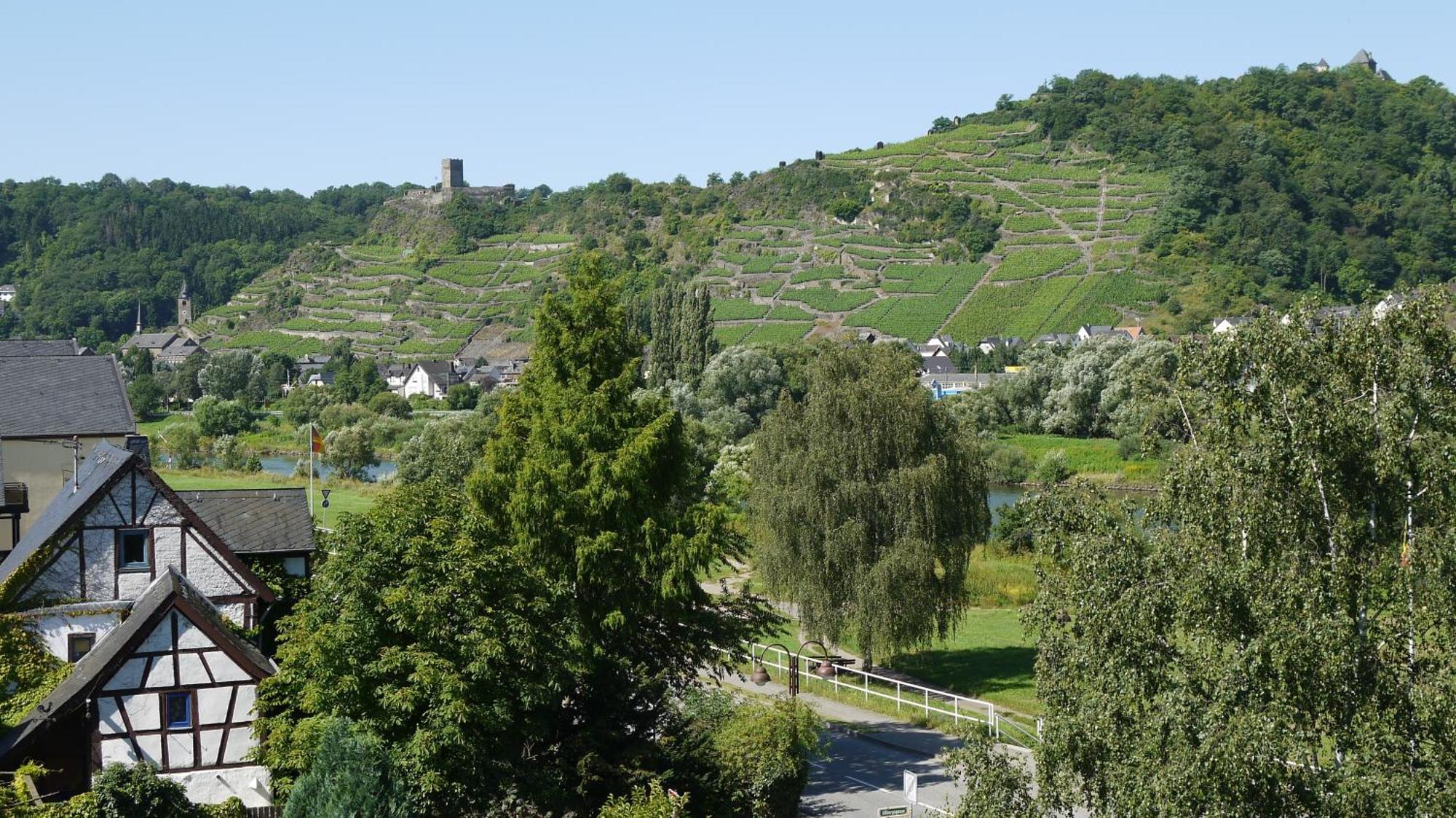 Hotel-Garni-Kachelburg Dieblich Luaran gambar